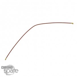 Cable antenne Samsung Galaxy A30S (A307F)